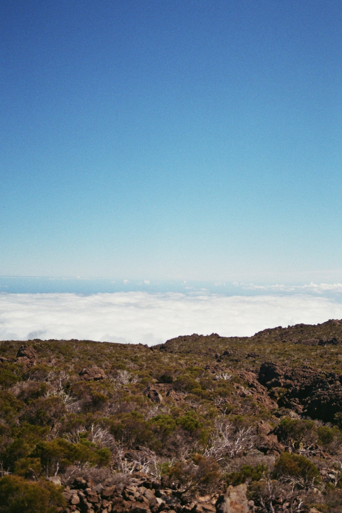 a person standing on top of a mountain with a sky background