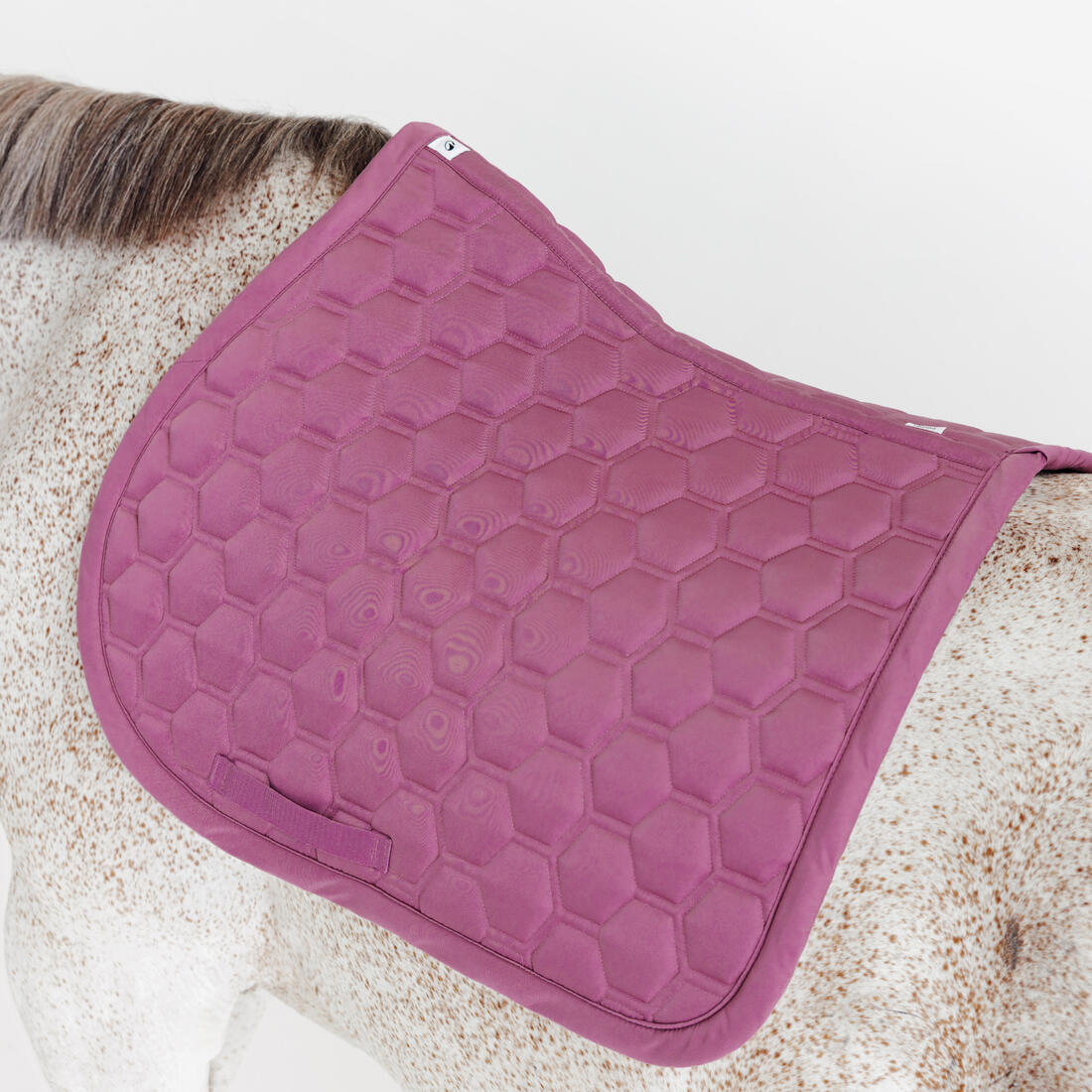 Tapis de selle équitation cheval - 500