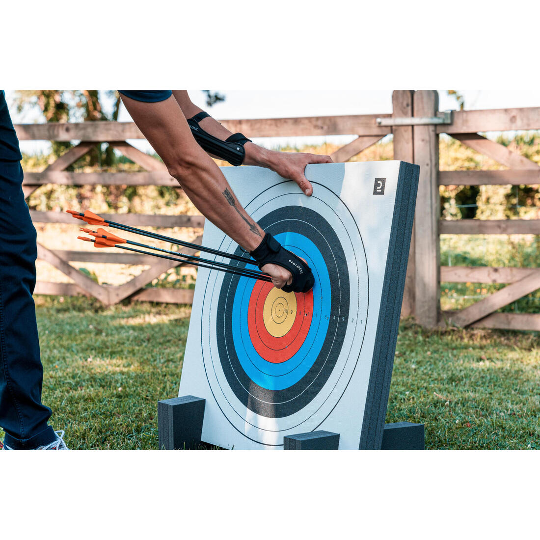 Fleches discovery 300 x3 carbone