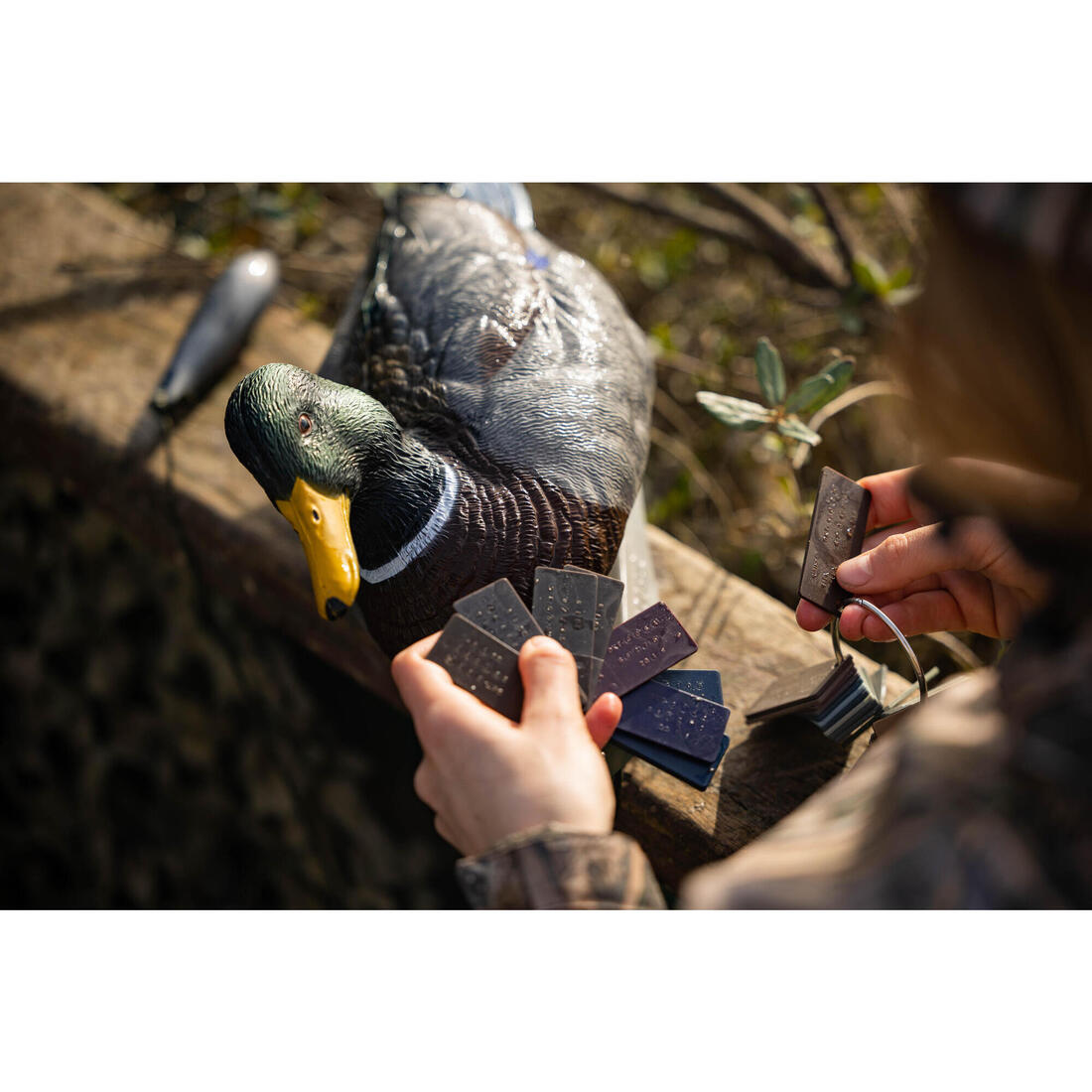 APPELANT COLVERT MALE 500 HD
