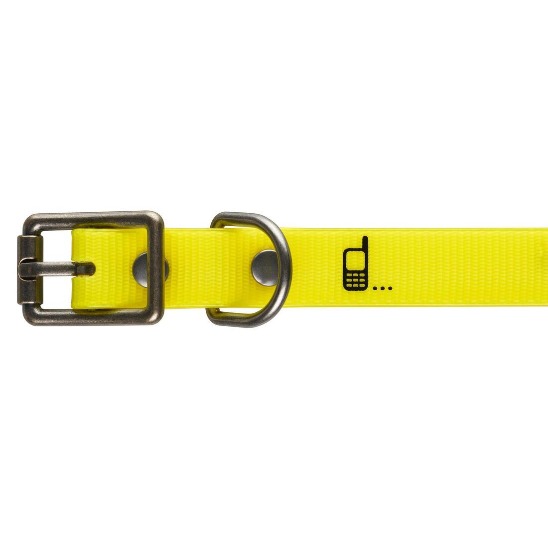 Collier chien Jaune fluo 500