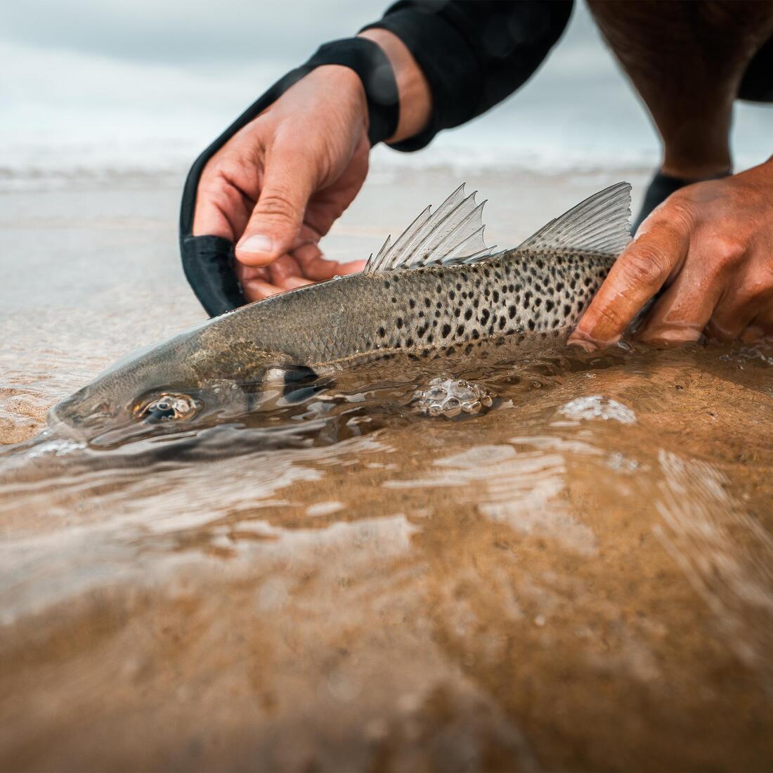 Canne surfcasting pêche en mer symbios 500 4.20m - 100-230g