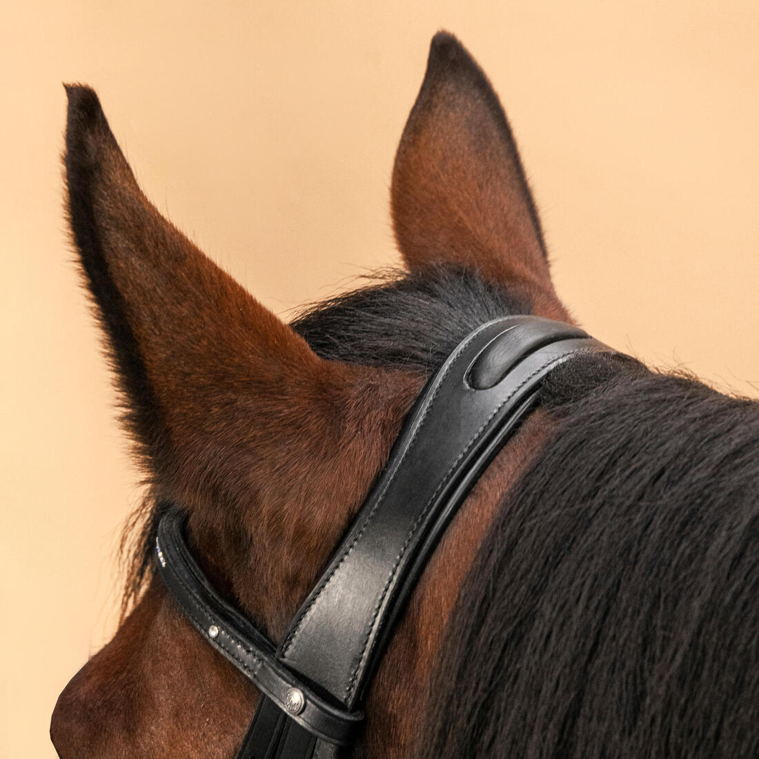 Filet équitation cuir muserolle croisée strass Cheval et Poney - 580 noir