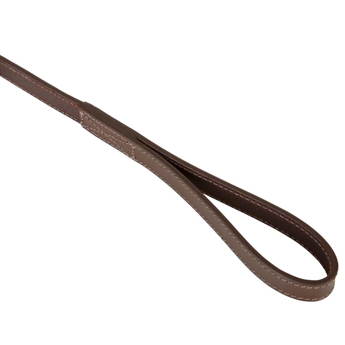 Laisse chien cuir 900