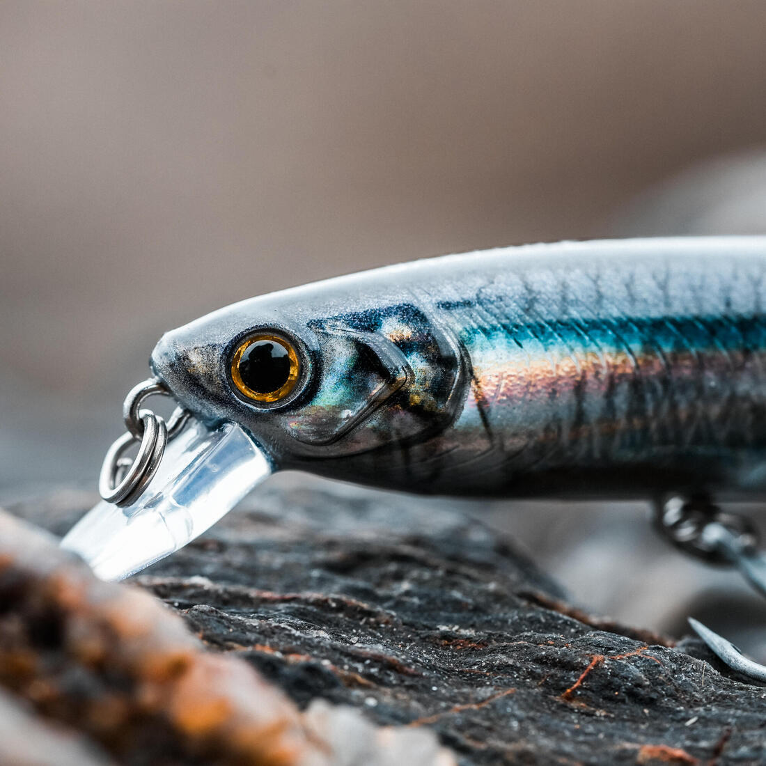 Poisson nageur Saxton 110F au leurre en mer