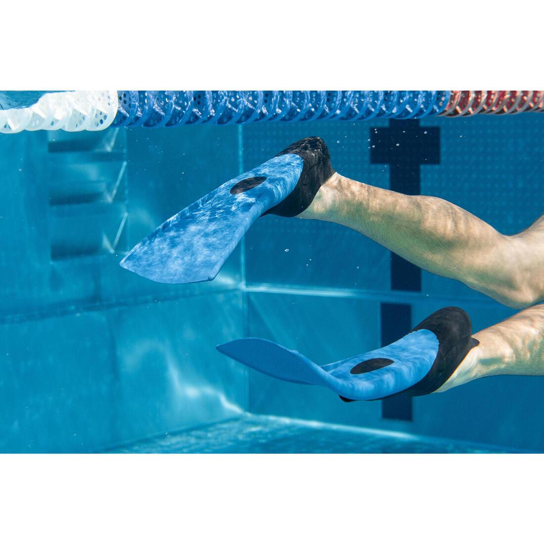 PALMES NATATION LONGUES TRAINFINS