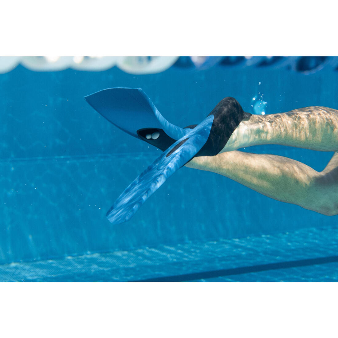 PALMES NATATION LONGUES TRAINFINS