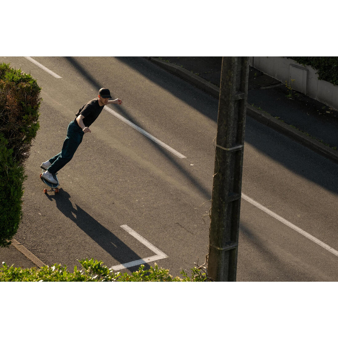 LONGBOARD SURFSKATE CRUISING 32" CARVE 540 BIRD