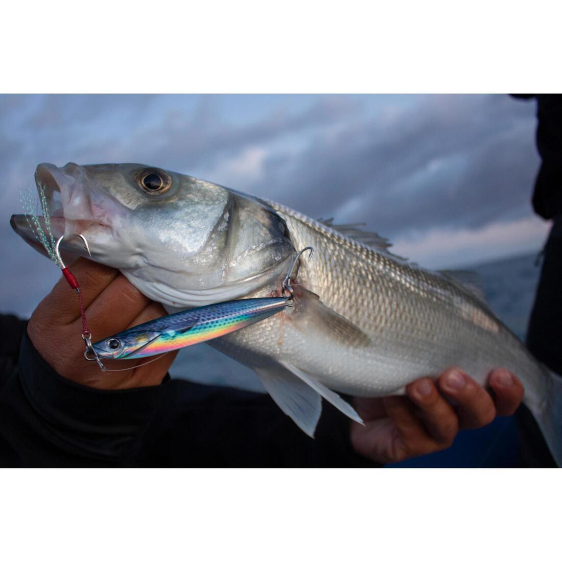 Casting jig biastos assist 20gr mullet au leurre en mer