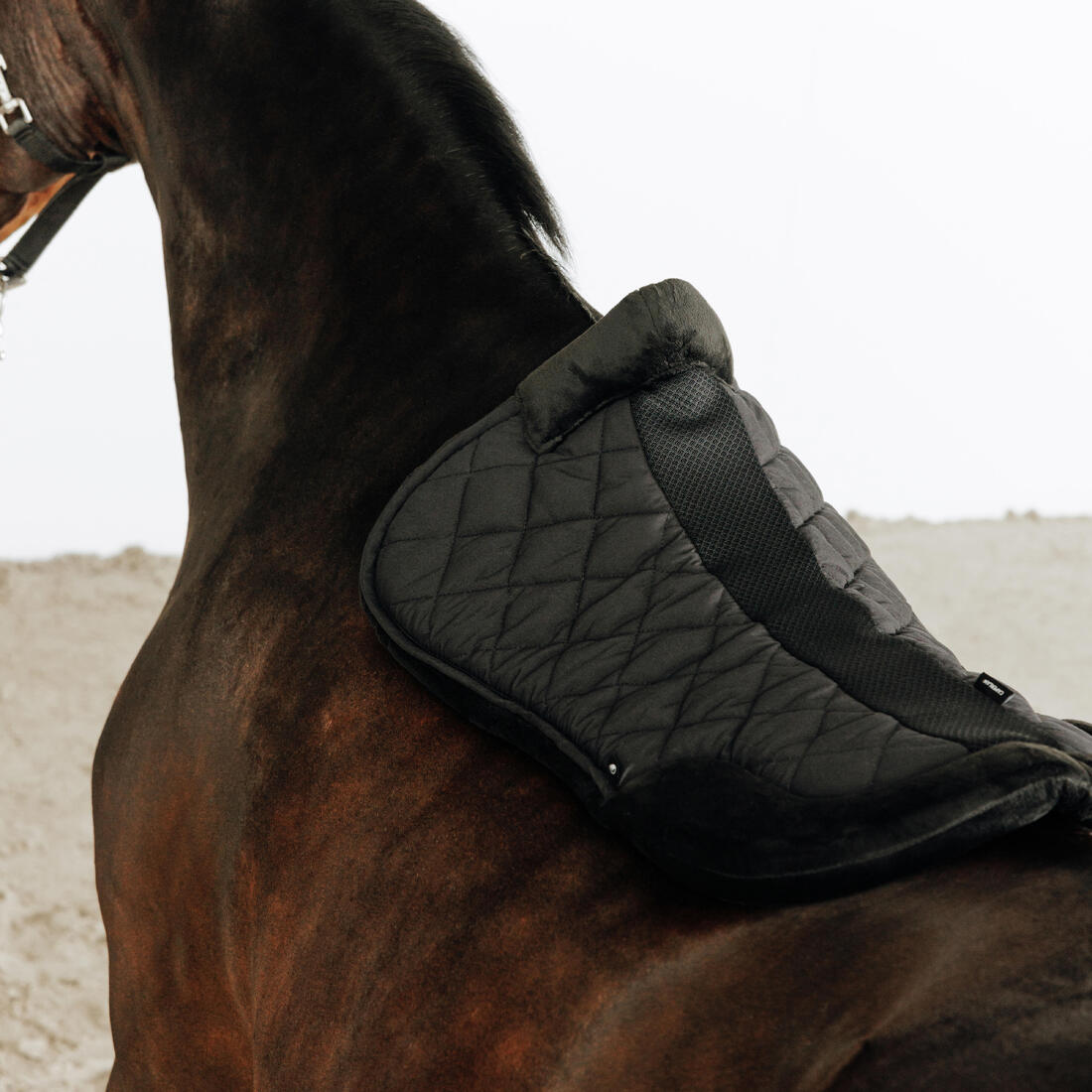 AMORTISSEUR CHEVAL ET PONEY MOUTON SYNTHETIQUE ROUGE GRENAT 500