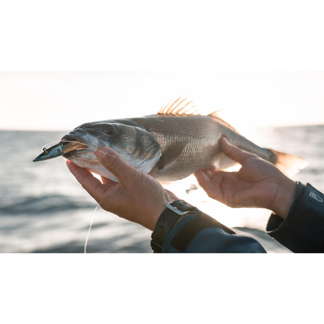COMBO leurres souples shad lançon EELO 150 18gr FLASHY