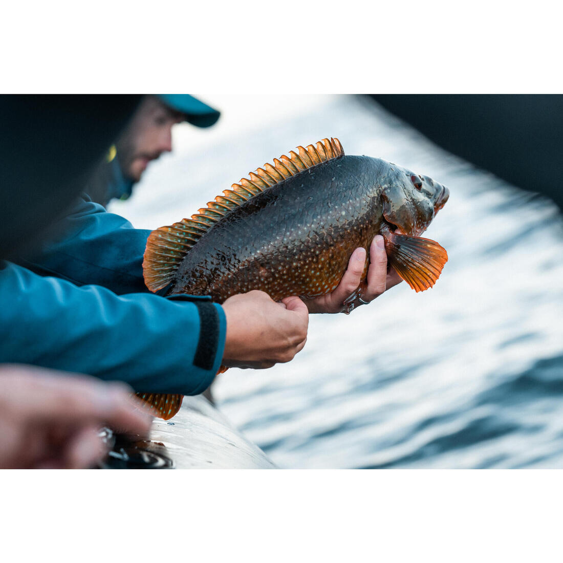 COMBO leurres souples shad lançon EELO 150 18gr FLASHY