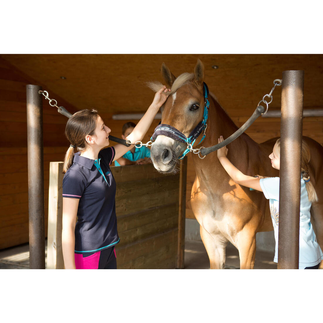 Pack licol + longe équitation cheval et poney WINNER
