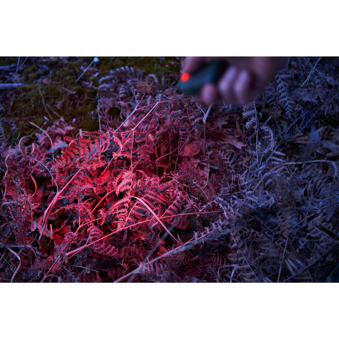 Lampe Torche/Frontale de Chasse - 80 Lumens - Clip Casquette