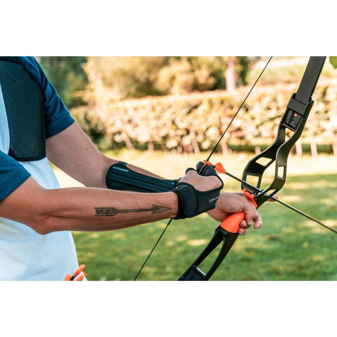 CORDE ARC DISCOVERY 300