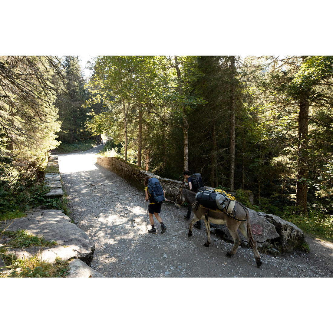 Sac de transport de trekking - 80 L à 120 L - DUFFEL 500 EXTEND