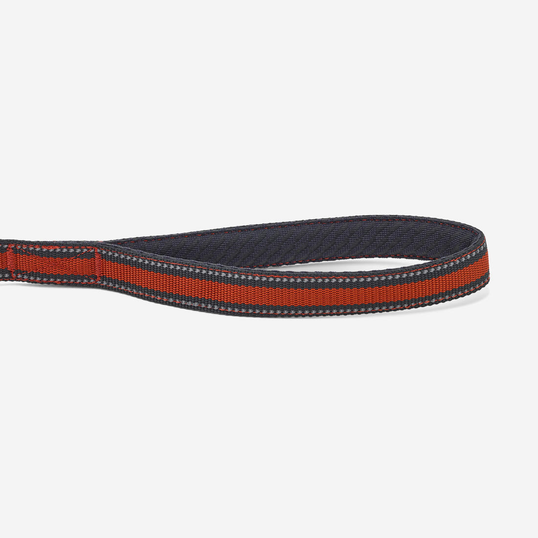 LAISSE CHIEN OUTDOOR 500