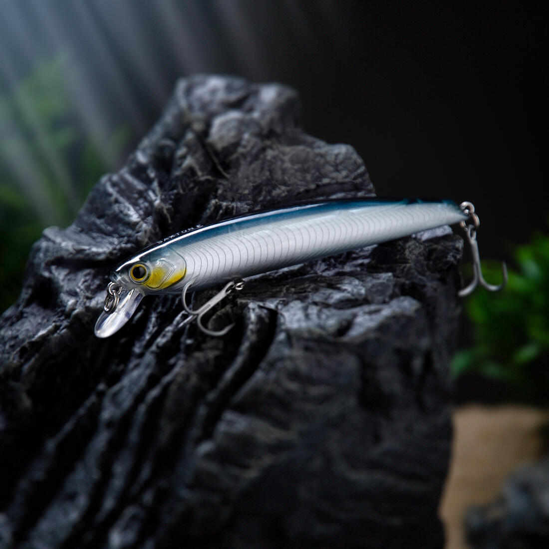 Poisson nageur Saxton 110F au leurre en mer