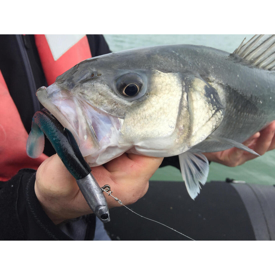 Tête plombée darting TP EELO 110 8gr aux leurres en mer