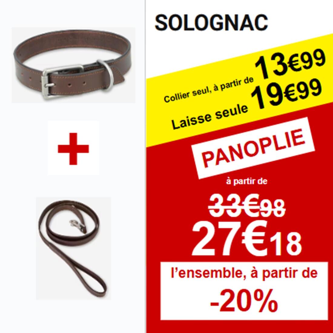 Laisse chien cuir 900