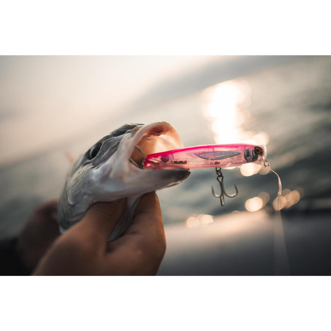 Leurre de surface Popper pêche en mer EXOFLY POP 12cm