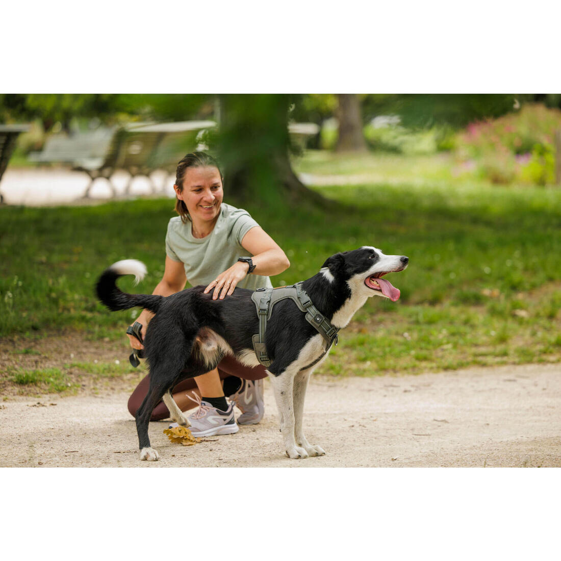 Harnais chien outdoor 500
