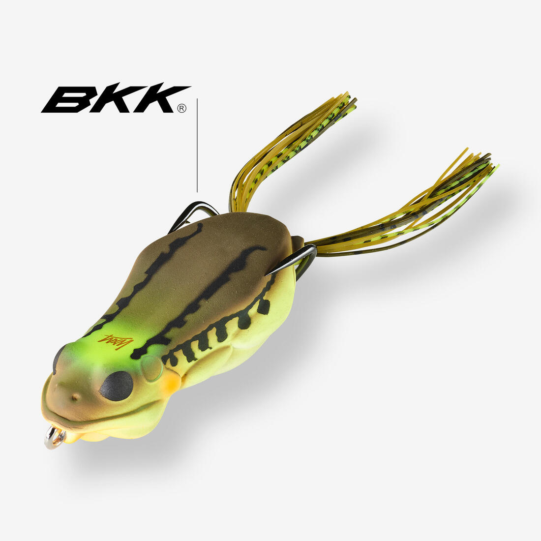 Grenouille frog frg 60 vert naturel
