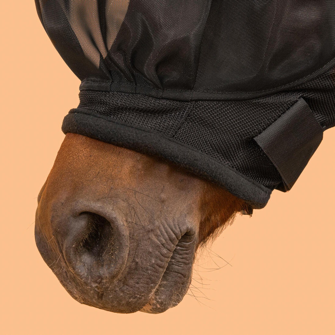 Masque anti-mouche équitation Cheval - 500