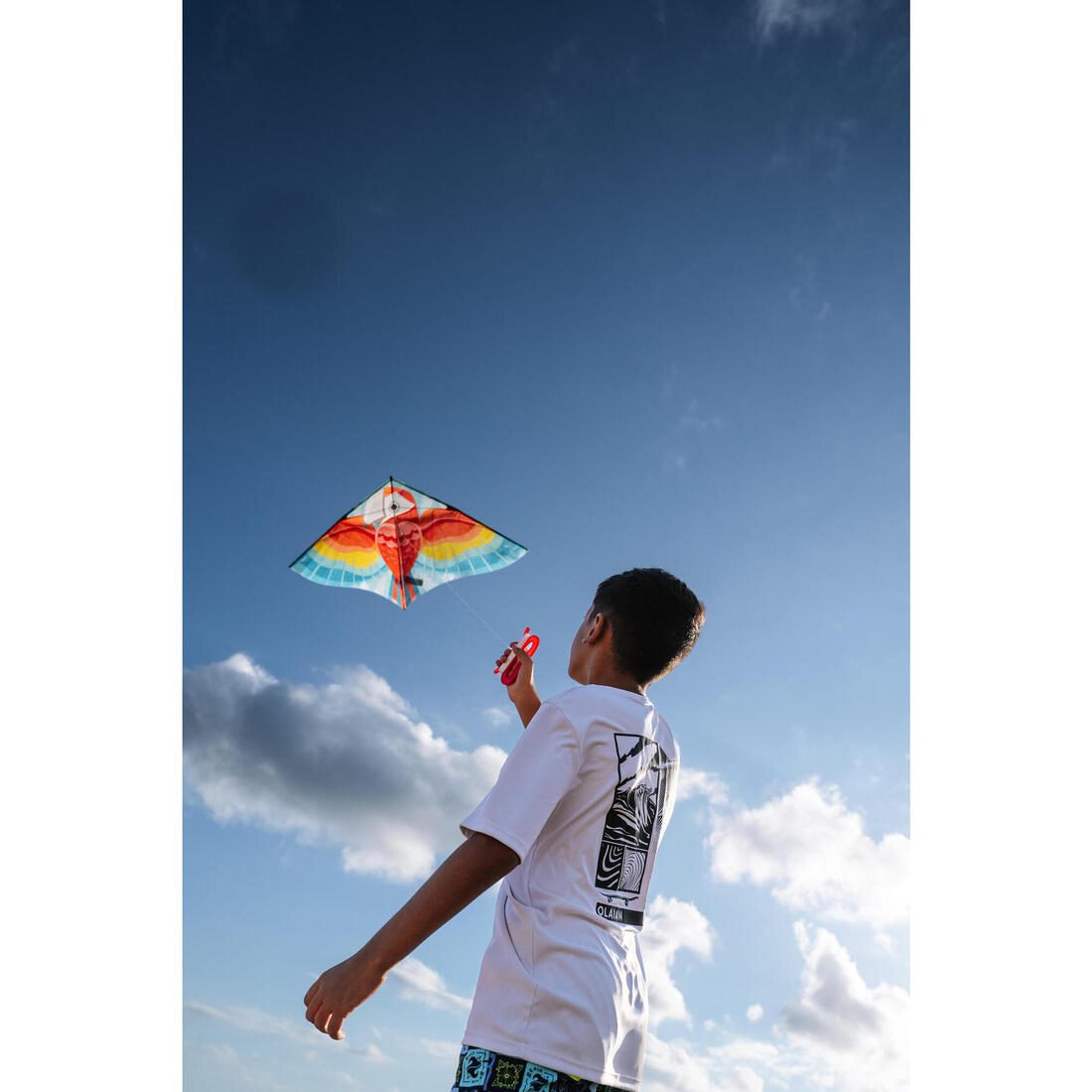 Cerf-volant statique Enfant - MFK 100 Perroquet