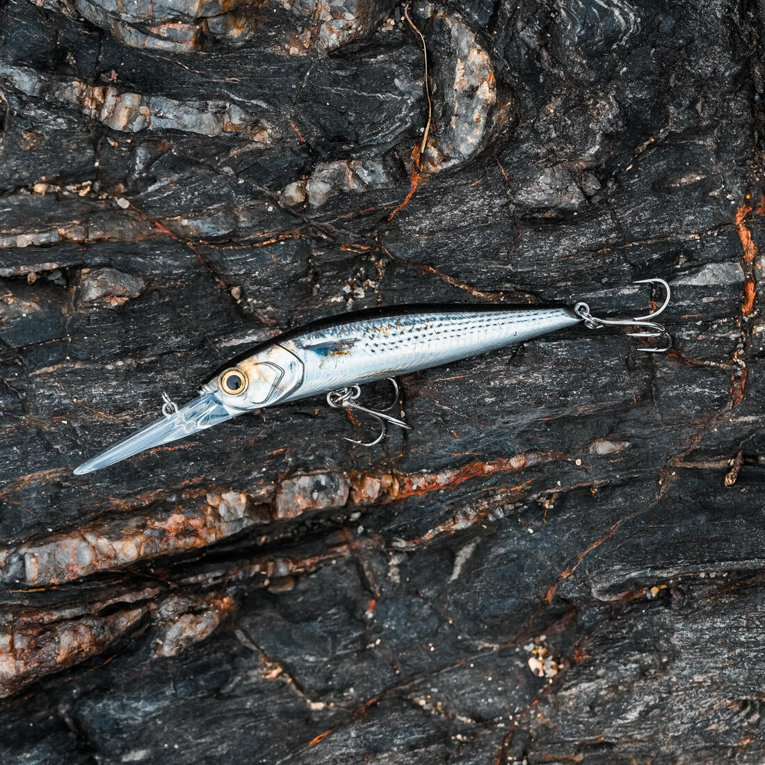 Poisson nageur TOWY 100F mullet au leurre en mer