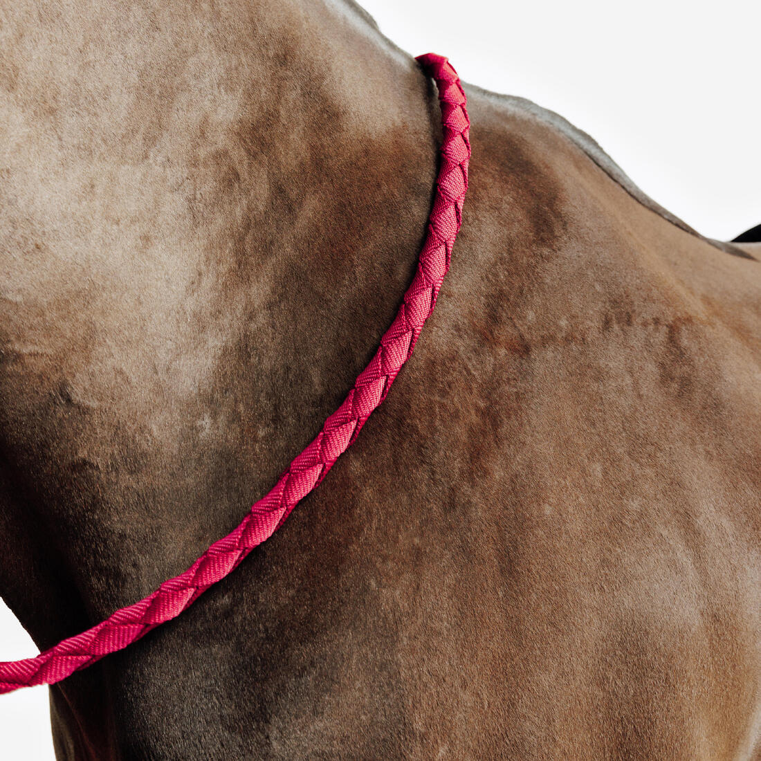 Kit licol et longe équitation Cheval et Poney - Confort rose et