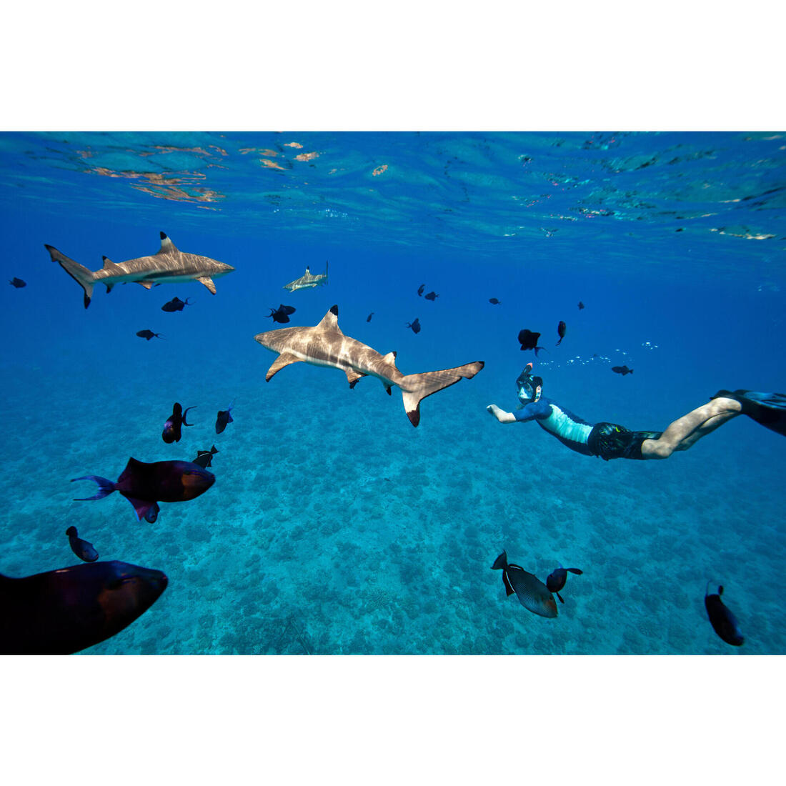 Masque snorkeling immersion Easybreath 900 > 10 ans