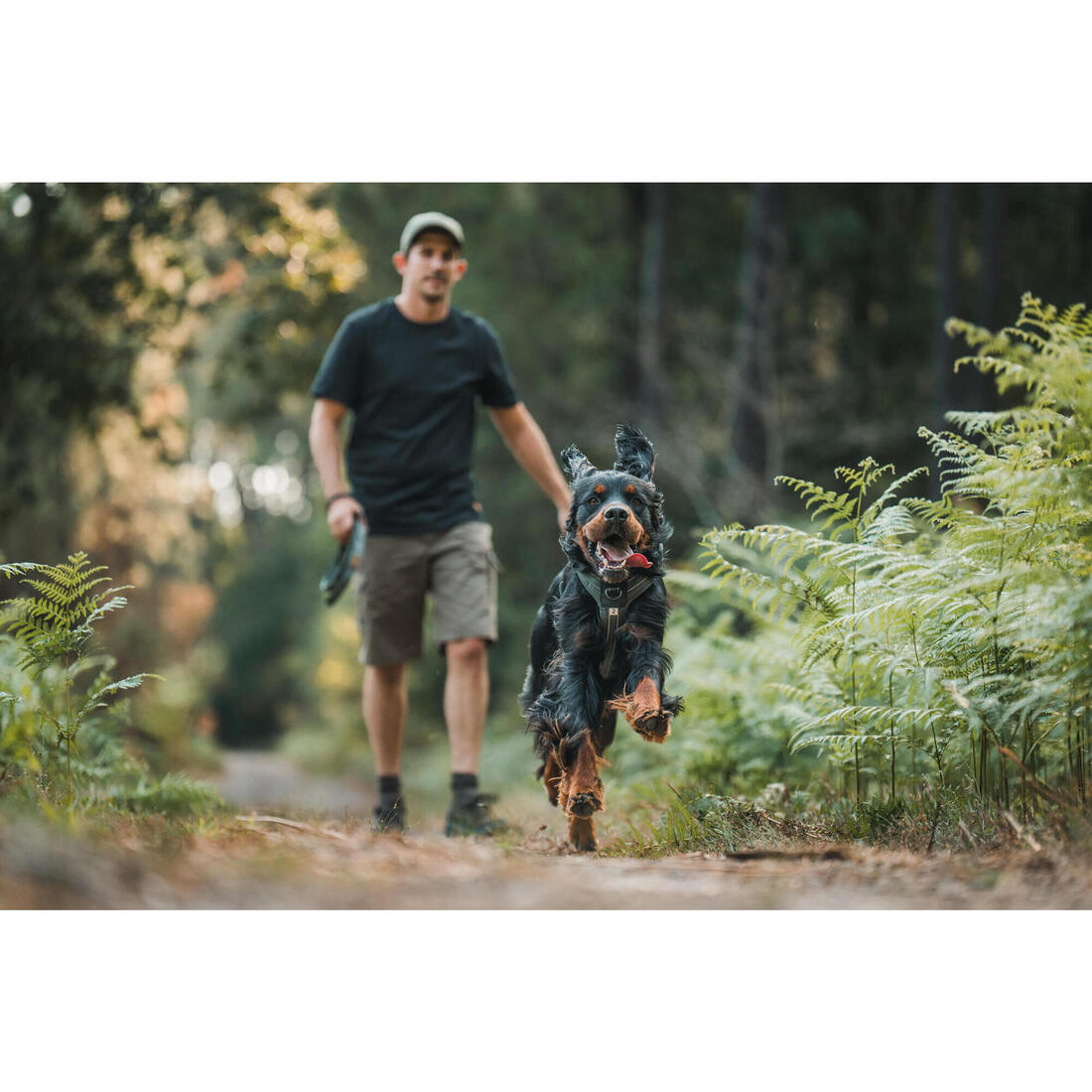 BERMUDA CARGO 500 CAMO WOODLAND