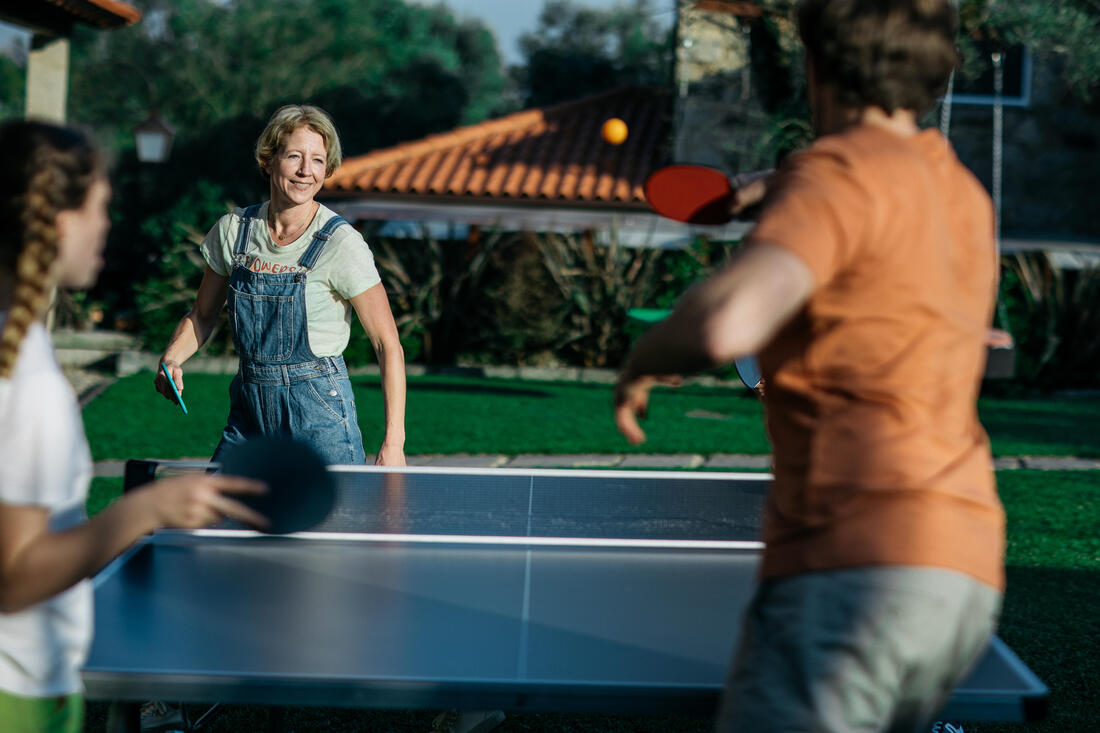 TABLE DE PING PONG EXTÉRIEURE PPT 530.2 GRISE
