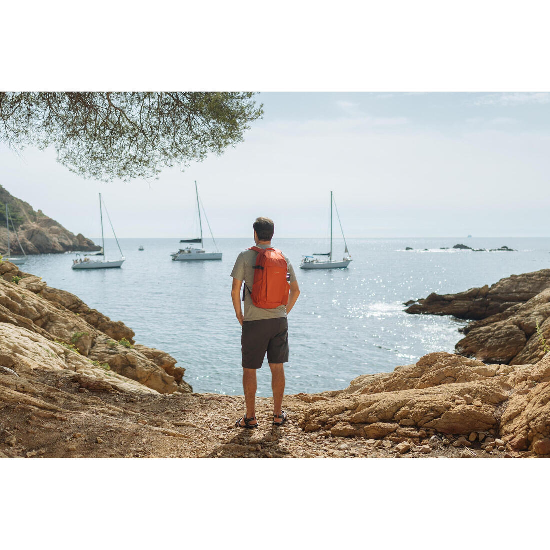 Short de randonnée - NH550 - Homme