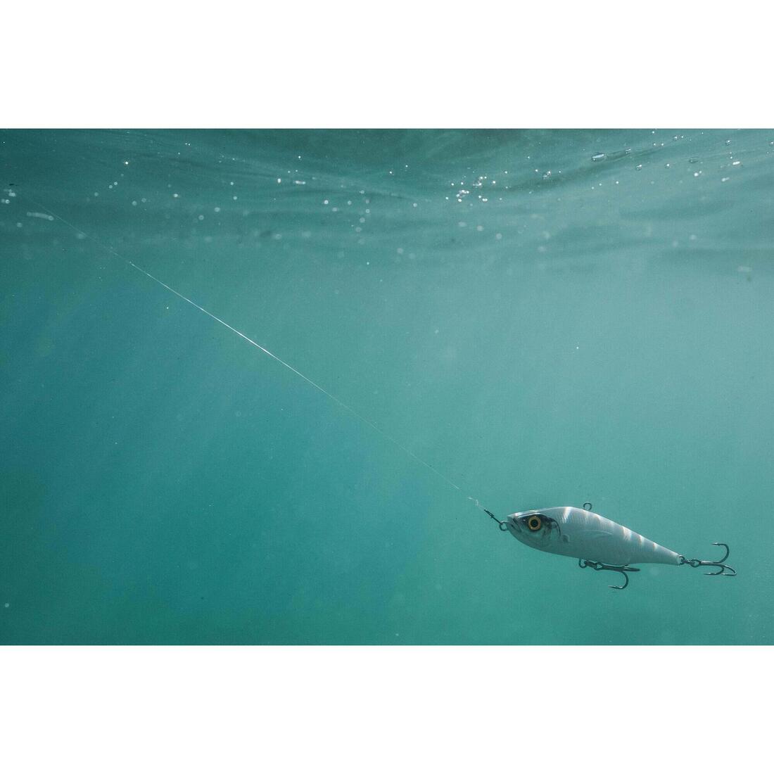 Poisson nageur AJIVIB 100 US au leurre en mer