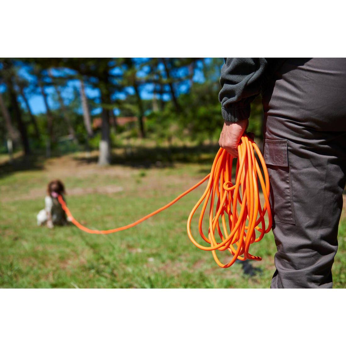 Longe pour chien 15 mètres 900 orange fluo