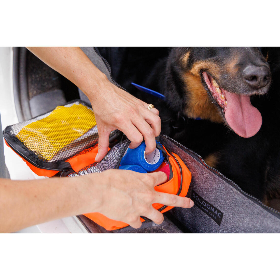 KIT TROUSSE DE PREMIERS SECOURS POUR CHIEN
