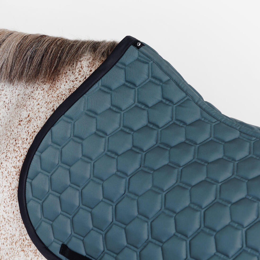 Tapis de selle équitation cheval - 500