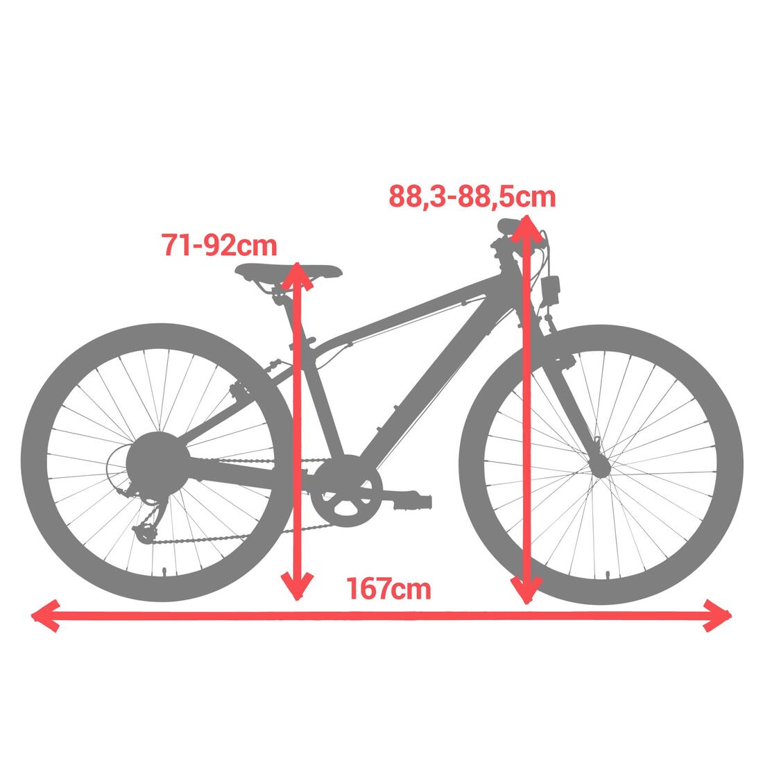 IMG_2177434