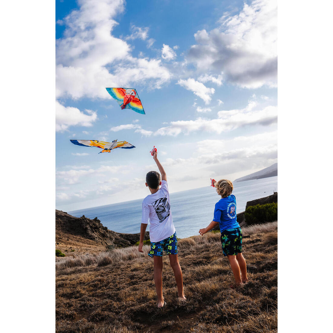 Cerf-volant statique Enfant - MFK150 Oiseau