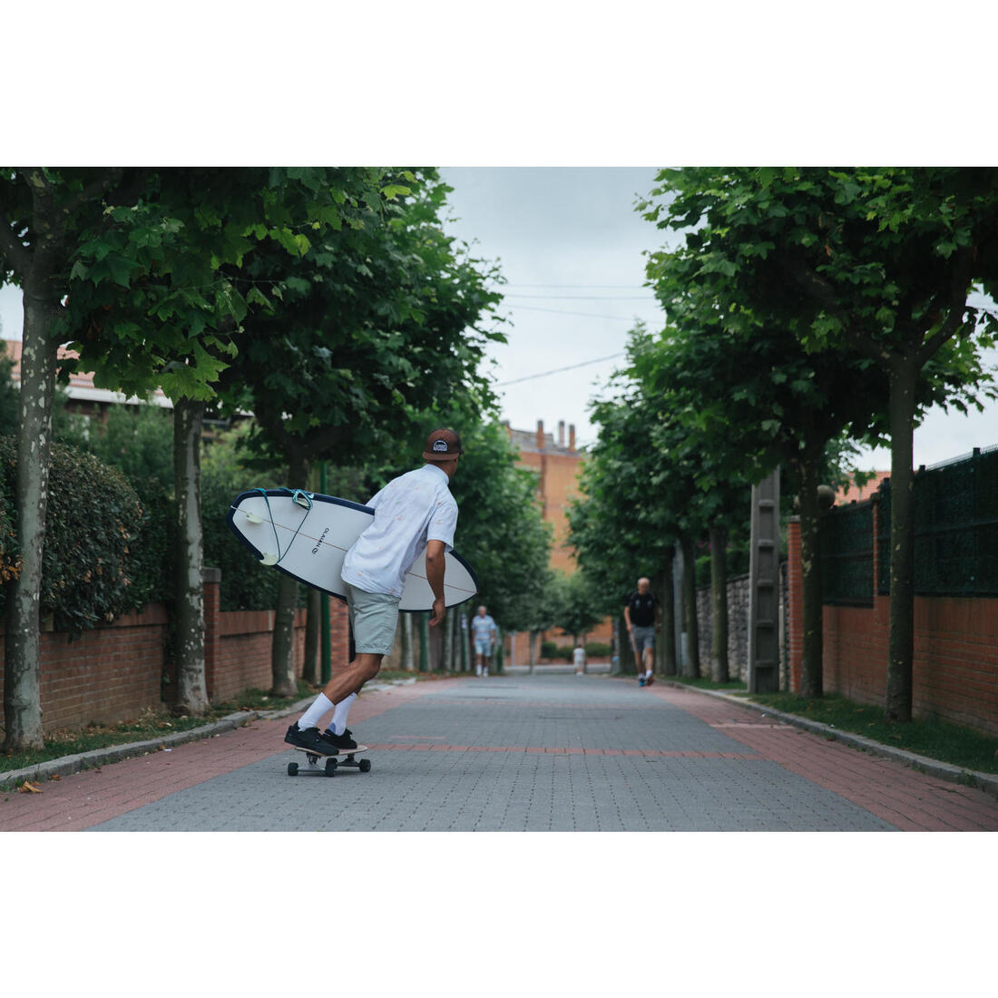 LONGBOARD SURFSKATE CRUISING 32" CARVE 540 BIRD