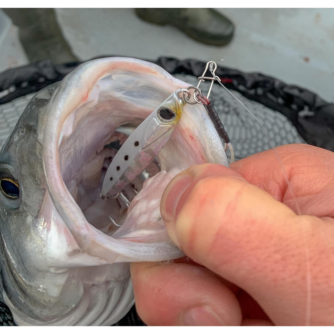 Casting jig biastos fast assist 10gr au leurre en mer