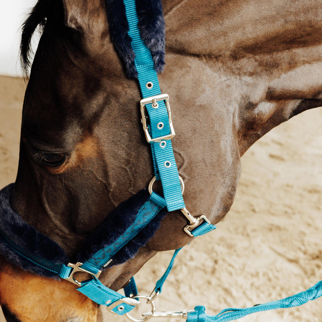 Kit licol et longe équitation Cheval et Poney - Confort rose et