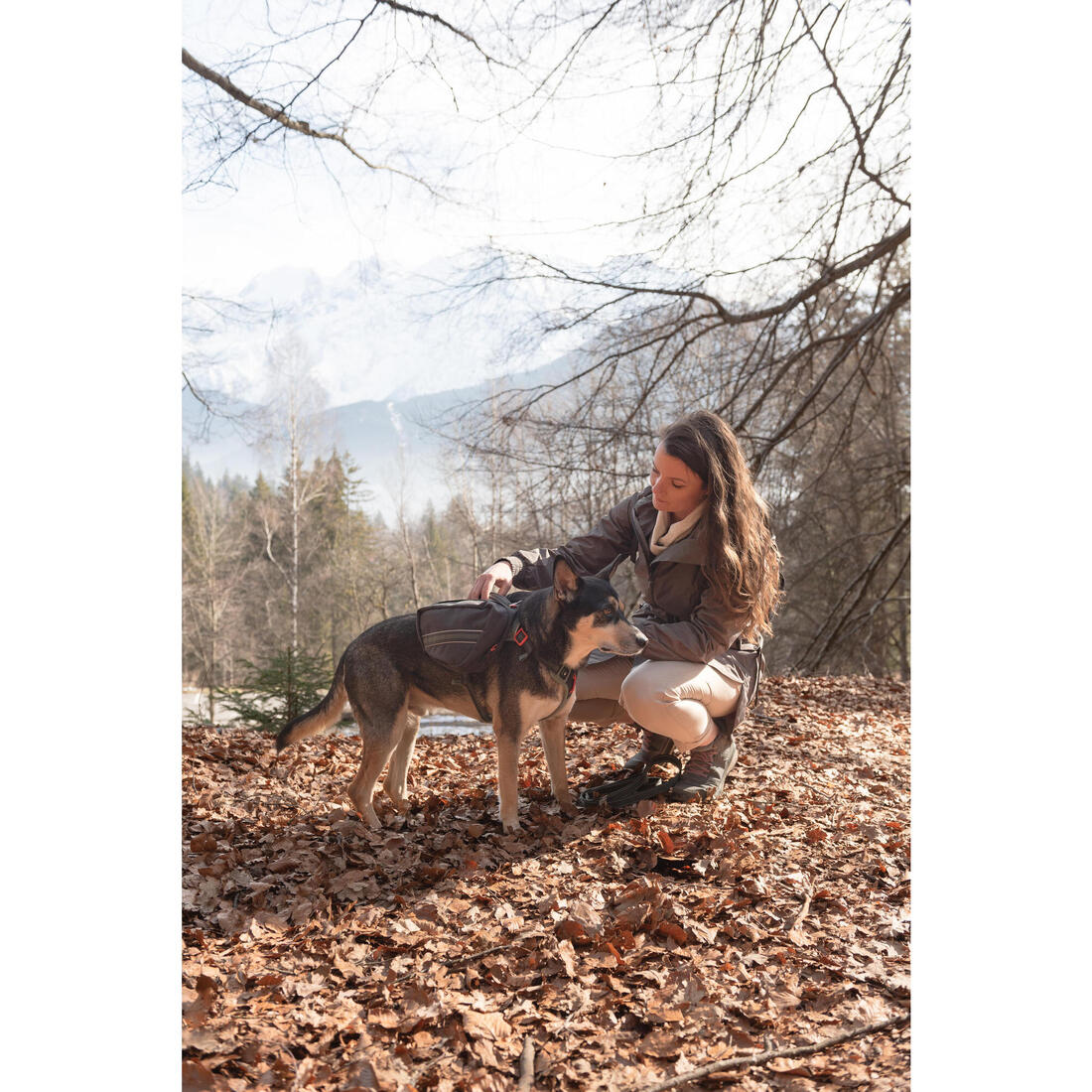 Harnais de randonnée avec sac à dos pour chien