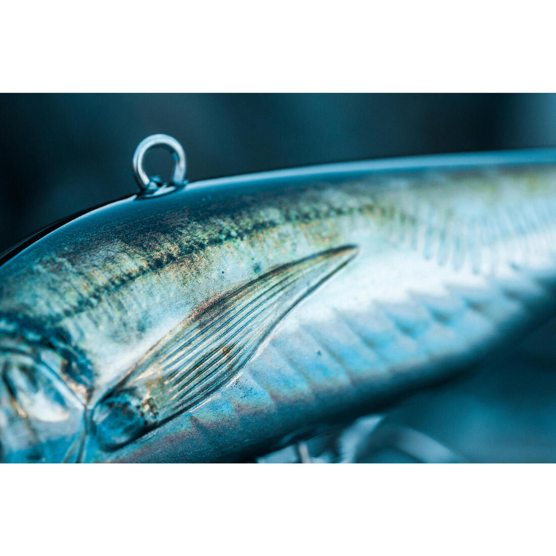 Poisson nageur AJIVIB 100 US AJI au leurre en mer