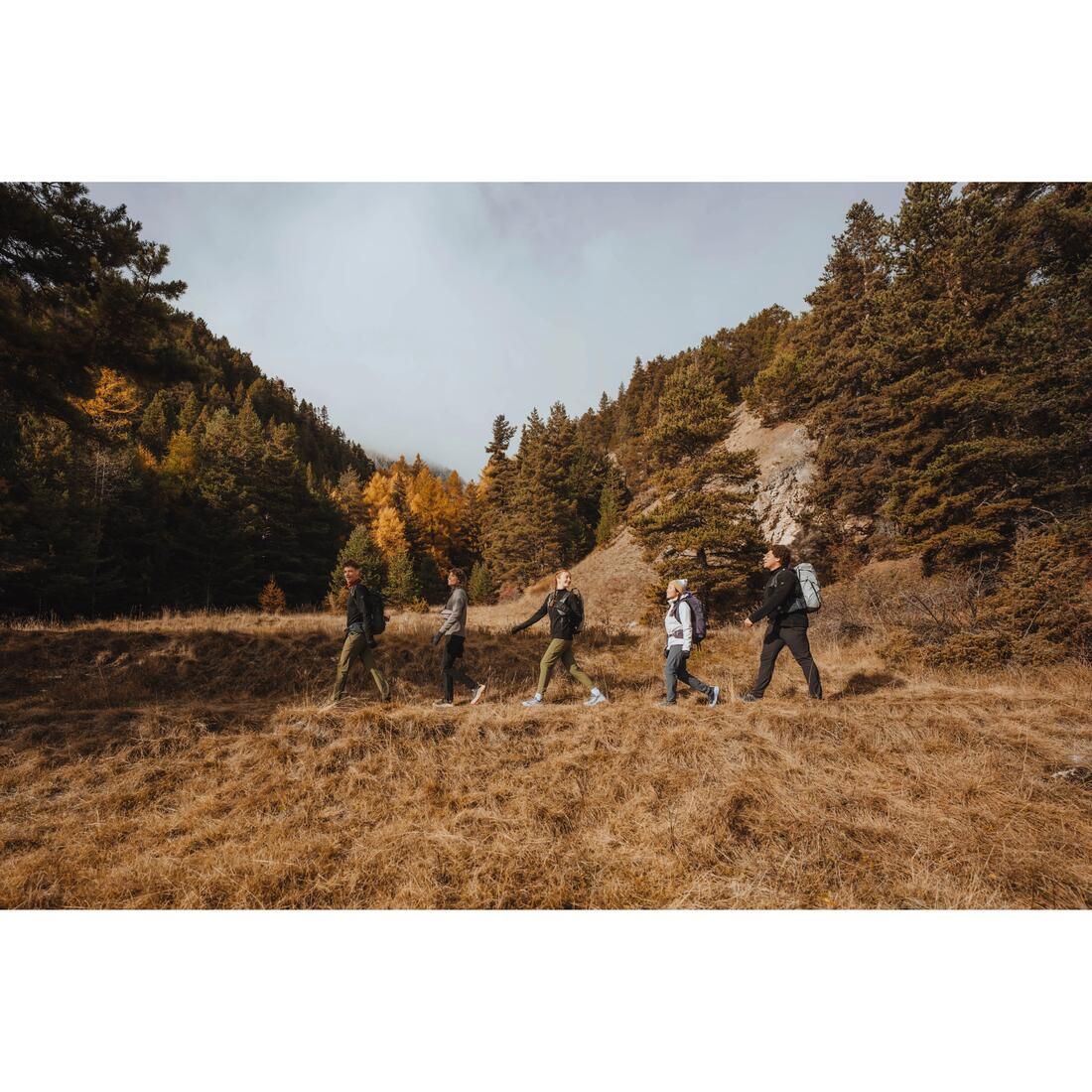 Polaire de randonnée montagne femme, MH100 grise