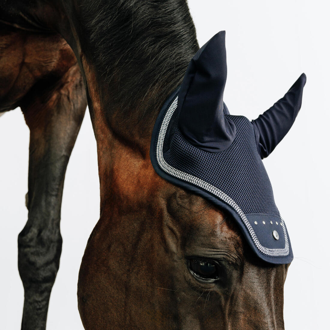 Bonnet équitation cheval - strass