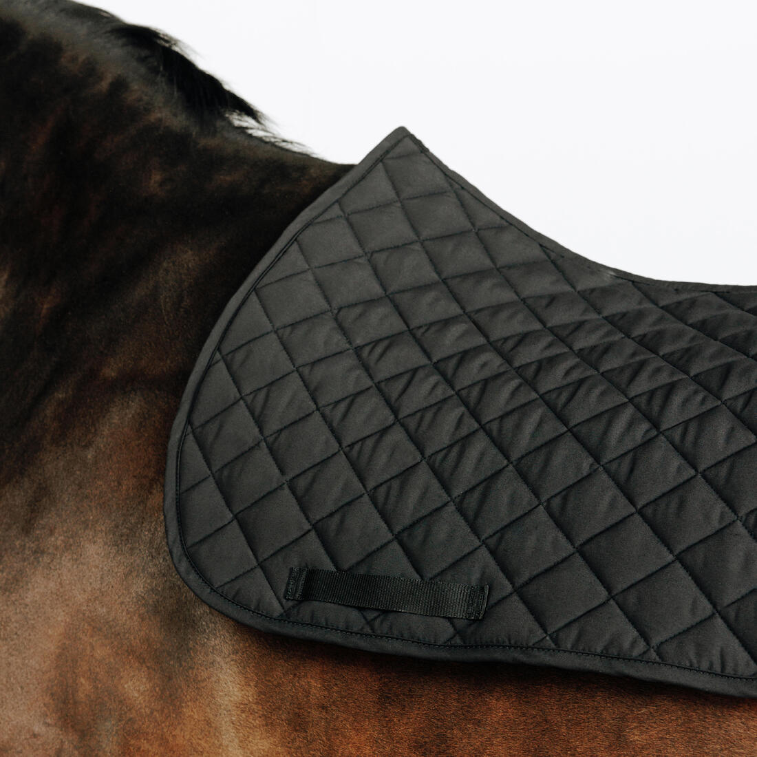 Tapis de selle équitation cheval - 100 marine