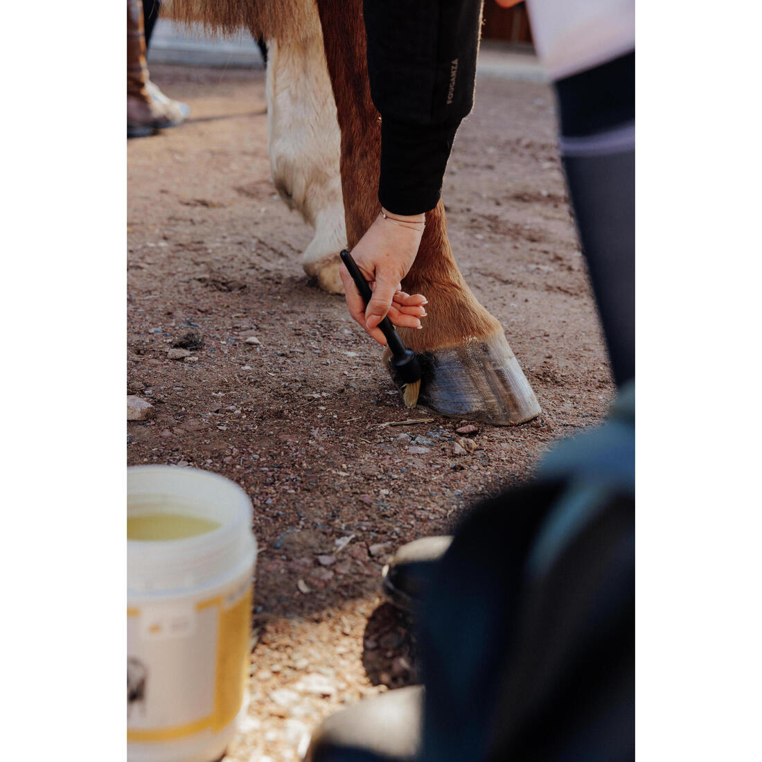 Graisse sabots naturelle Cheval et Poney - Onguent Entretien blond 750ml
